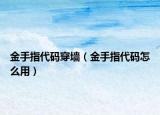 金手指代码穿墙（金手指代码怎么用）