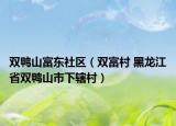 双鸭山富东社区（双富村 黑龙江省双鸭山市下辖村）
