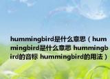 hummingbird是什么意思（hummingbird是什么意思 hummingbird的音标 hummingbird的用法）