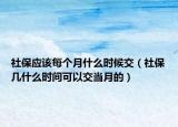 社保应该每个月什么时候交（社保几什么时间可以交当月的）