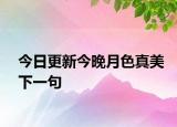 今日更新今晚月色真美下一句