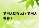 梦回大明春txt（梦回大明春）