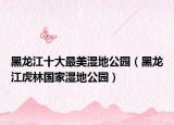 黑龙江十大最美湿地公园（黑龙江虎林国家湿地公园）