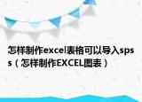 怎样制作excel表格可以导入spss（怎样制作EXCEL图表）