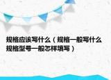 规格应该写什么（规格一般写什么 规格型号一般怎样填写）