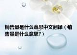 销售量是什么意思中文翻译（销售量是什么意思?）