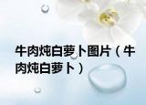 牛肉炖白萝卜图片（牛肉炖白萝卜）