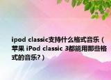 ipod classic支持什么格式音乐（苹果 iPod classic 3都能用那些格式的音乐?）