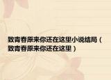 致青春原来你还在这里小说结局（致青春原来你还在这里）