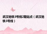 武汉地铁3号线2期站点（武汉地铁3号线）