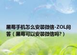 黑莓手机怎么安装微信-ZOL问答（黑莓可以安装微信吗?）
