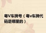 粤V车牌号（粤v车牌代码是哪里的）