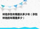 林地承包年限最长多少年（承包林地的年限是多少）