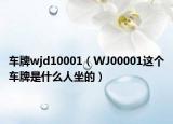车牌wjd10001（WJ00001这个车牌是什么人坐的）