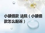 小额借款 法院（小额借款怎么起诉）