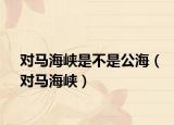 对马海峡是不是公海（对马海峡）