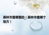 嘉林市是哪里的（嘉林市是哪个地方）