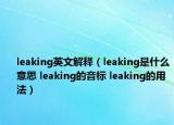 leaking英文解释（leaking是什么意思 leaking的音标 leaking的用法）