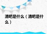 清吧是什么（清吧是什么）