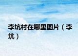 李坑村在哪里图片（李坑）