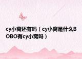 cy小窝还有吗（cy小窝是什么BOBO有cy小窝吗）