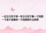 一日之计在于晨一年之计在于春一寸光阴一寸金千金难买一寸光阴你什么意思