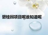 碧桂园项目呢谁知道呢