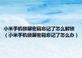 小米手机锁屏密码忘记了怎么解锁（小米手机锁屏密码忘记了怎么办）
