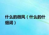 什么的微风（什么的什组词）