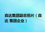 森达集团副总照片（森达 集团企业）