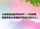 小爸爸里边的手机铃声（小爸爸电视剧里面文章用的手机铃声是什么）
