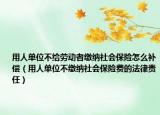 用人单位不给劳动者缴纳社会保险怎么补偿（用人单位不缴纳社会保险费的法律责任）