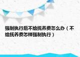 强制执行后不给抚养费怎么办（不给抚养费怎样强制执行）