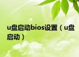 u盘启动bios设置（u盘启动）