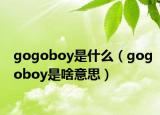 gogoboy是什么（gogoboy是啥意思）
