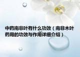 中药南非叶有什么功效（南非木叶药用的功效与作用详细介绍）