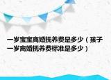 一岁宝宝离婚抚养费是多少（孩子一岁离婚抚养费标准是多少）