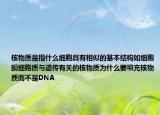 核物质是指什么细胞具有相似的基本结构如细胞膜细胞质与遗传有关的核物质为什么要填充核物质而不是DNA