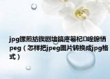 jpg鏍煎紡鍥剧墖鎬庝箞杞崲鎴恓peg（怎样把jpeg图片转换成jpg格式）