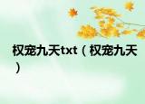权宠九天txt（权宠九天）