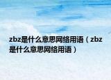 zbz是什么意思网络用语（zbz是什么意思网络用语）