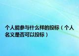 个人能参与什么样的投标（个人名义是否可以投标）