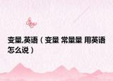 变量,英语（变量 常量量 用英语怎么说）
