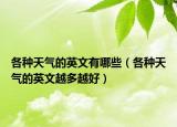 各种天气的英文有哪些（各种天气的英文越多越好）