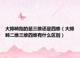 大排畸指的是三维还是四维（大排畸二维三维四维有什么区别）