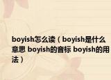 boyish怎么读（boyish是什么意思 boyish的音标 boyish的用法）