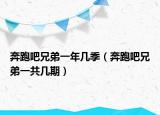 奔跑吧兄弟一年几季（奔跑吧兄弟一共几期）