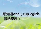 想知道one（cup 2girls 是啥意思）