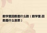 数学里因数是什么数（数学里.因数是什么意思）