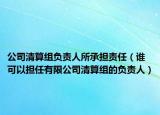 公司清算组负责人所承担责任（谁可以担任有限公司清算组的负责人）